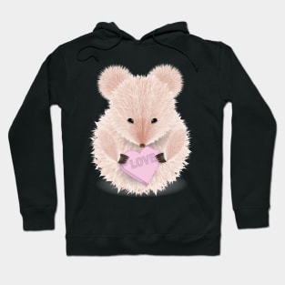 Valentines Day Mouse with Love Candy heart Hoodie